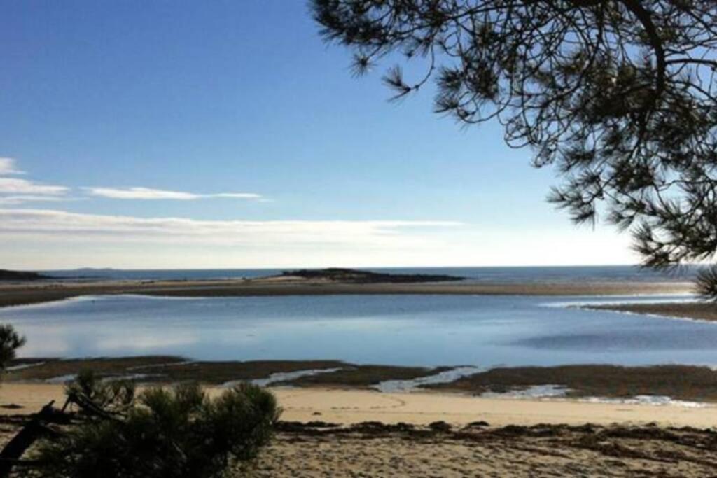 Maison Avec Jardin Clos. Animaux Acceptes - Wifi - Proche Plages De La Trinite Sur Mer Et Carnac Eksteriør billede