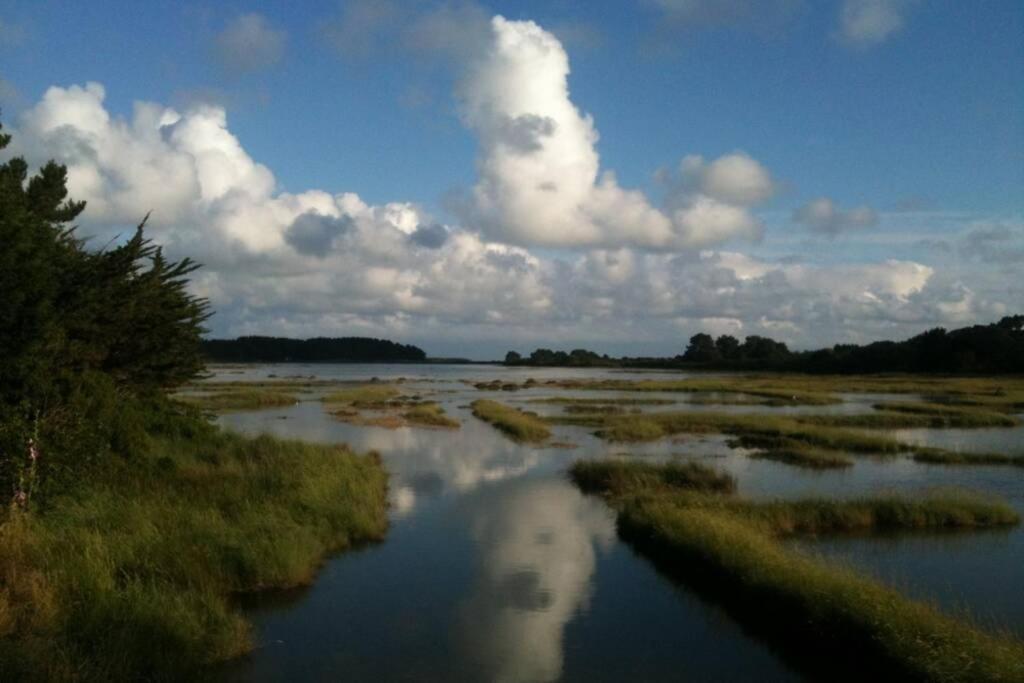 Maison Avec Jardin Clos. Animaux Acceptes - Wifi - Proche Plages De La Trinite Sur Mer Et Carnac Eksteriør billede